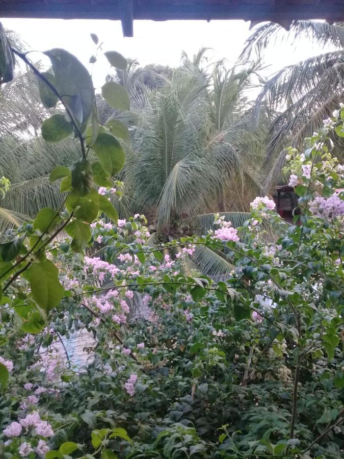 Vila Privativa Piscina 10 Px Limpeza Diaria Chale Da Sereia Oasis No Centro De Jericoacoara المظهر الخارجي الصورة